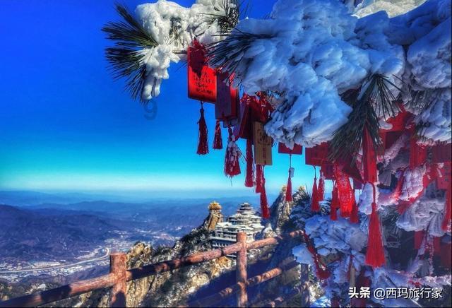 最受异性欢迎的星座游戏画面